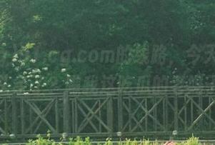 91.cg.com的线路，今天又出什么头条了？瞧我这吃瓜的老妈子！