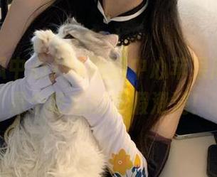 91吃瓜中心苹果版，才不是个吃瓜的虚假港湾！