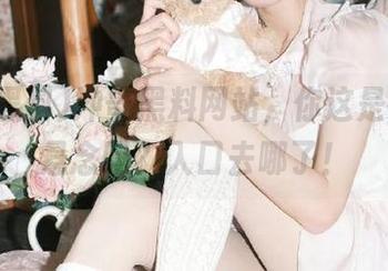 冲哥黑料网站，你这是在给我悬念吗？入口去哪了！