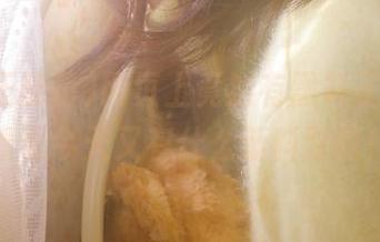 网页上竟然有黑料正能量，看看今天又有什么新料要吃！