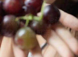 黑料网官网：牢记这条手残路，看你怎么跟瓜亲密接触！